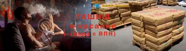 эйфоретик Аркадак