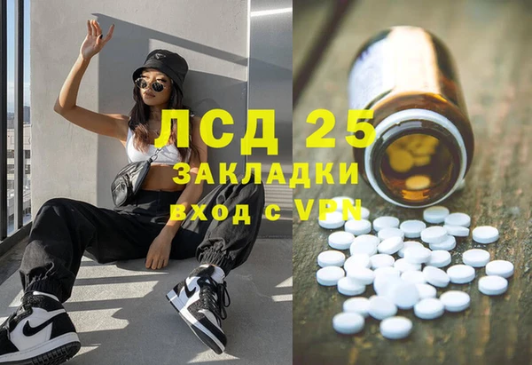 эйфоретик Аркадак