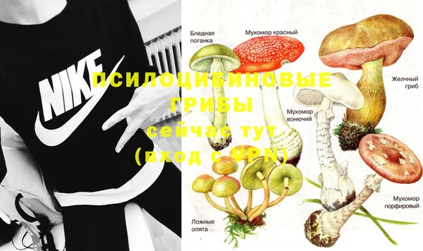 эйфоретик Аркадак