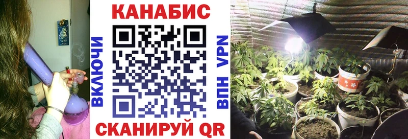 Конопля планчик  Новодвинск 